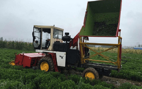 甘肅普華甜菊糖開(kāi)發有(yǒu)限公司